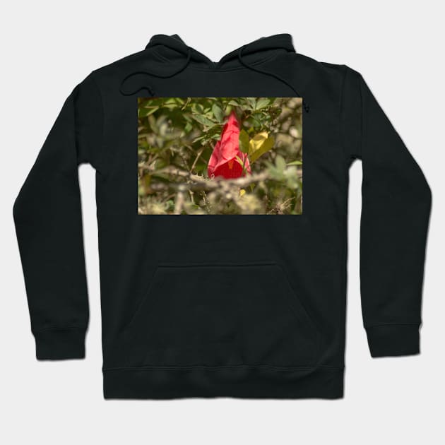 klb copihue Hoodie by pcfyi